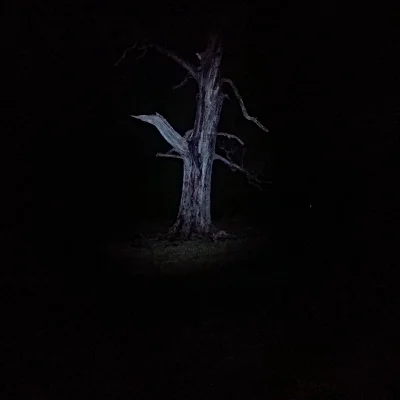 paaszczaktaxi - podczas nocnego biegania :) #noc #lakedistrict #uk