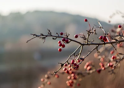 Aquoss - Dzisiejszy "zimowy" plener :)
Wesołych Świąt kochani! 

#fotografia #natu...