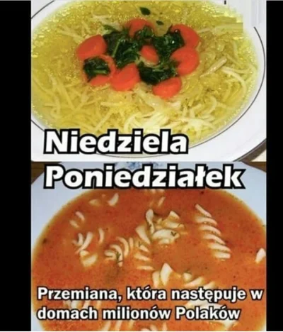marek-miko - #humorobrazkowy #gotujzwykopem #heheszki i cyk pomidorowa xd