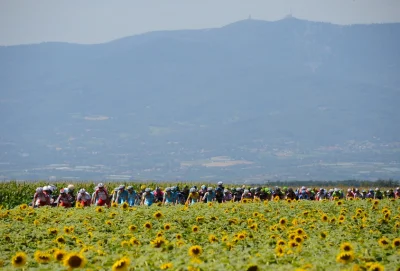 fantomasas - Watts Zap z Tour de France 2014 #mikroreklama #kolarstwo #tourdefrance #...