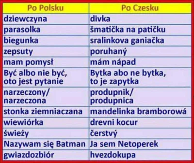 ipkis123 - #heheszki
#czeski