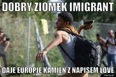 fatall1ty - #heheszki #imigranci #byloaledobre #4konserwy