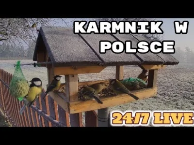 pan_kebab - Telenoweli karmnikowej ciag dalszy ( ͡° ͜ʖ ͡°) teraz poprawiona jakosc st...