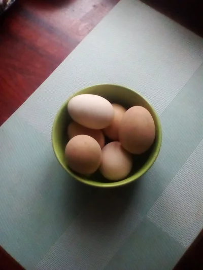 anonymous_derp - Dzisiejszy postny obiad: Jajka na twardo.

#jedzenie #jedzzwykopem...