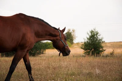 loginzajetysic - @Fiddler: Wiem, do tego dążę bo jak widać, obiekt do foto był ale ka...