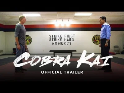 Bethesda_sucks - Cobra Kai to serial w którym mamy okazję zobaczyć jak potoczyły się ...
