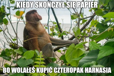 P.....0 - #heheszki #humorobrazkowy #polak #nosaczsundajski