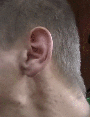 diabeu255 - Cud bozy
#kononowicz #patostreamy