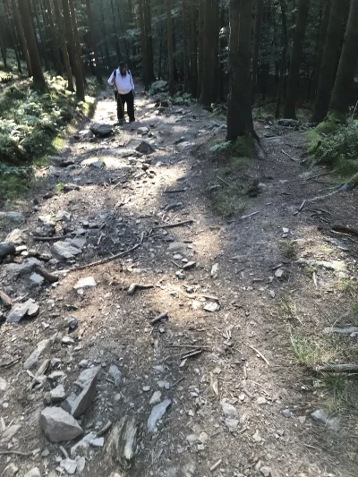 vlahbej - Pośrodku niczego w Ardenach w Belgii spotkałem grupę ortodoksyjnych Żydów :...