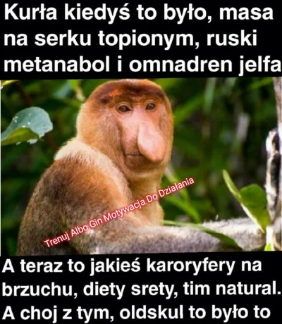 Szimu - #mikrokoksy #mirkokoksy #heheszki #hanuszki