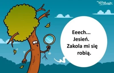 EmDeCe - #humorobrazkowy #humor #zakola ¯\\(ツ)\/¯