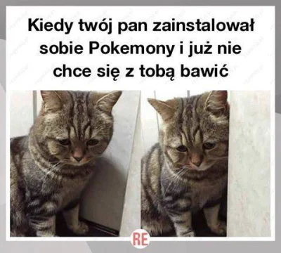 c.....n - Chwila zabawy i lata leczenia, psychoterapii dla waszego kota. Wybór należy...