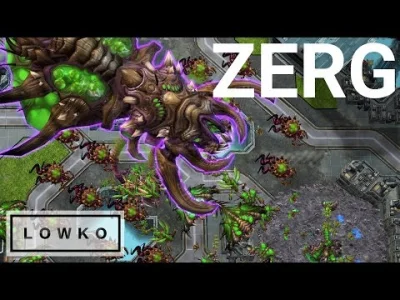 kolhubi - Jakie są prawdziwe rozmiary zerga? ( ͡° ͜ʖ ͡°)
#sc2