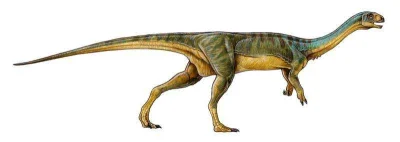 CrazyDino - Poznajcie Chilesaurus diegosuarezi - jednego z najdziwniejszych dinozauró...