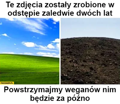 LordSkoczek - Weganie też mają za uszami, jeszcze dwa lata temu odpoczywałem na tej ł...