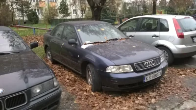 Sepang - Zbrodnia na polskości. Tysiące Mariuszów i Sebastianów marzy o takim A4 B5, ...