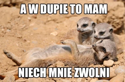 Crea - @Mega_Smieszek: