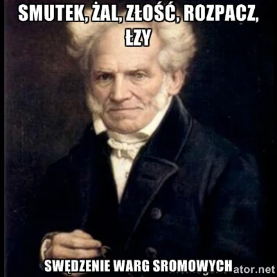 nnn - @mroz3: #schopenhauer