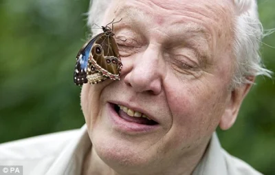 fiziaa - Kilka dni temu (8 maja) David Attenborough miał 91. urodziny. Jest on znany ...