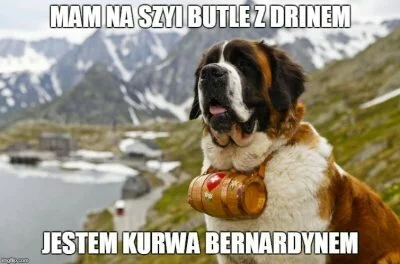 oddawaj_kasztana - XDDD psy są świetne (｡◕‿‿◕｡)

#heheszki #humor #humorobrazkowy #ps...