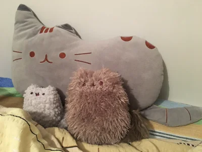 Karatte - Rodzinka w komplecie (｡◕‿‿◕｡)

#pusheen #stormy #pip #wygryw #chwalesie