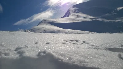 siedemdniw_meczecie - #earthporn
Tatry 2016