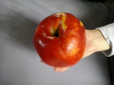 hurtwish - Jablko z holandii , ciekawe czy po jego zjedzeniu bede swiecic #holandia #...