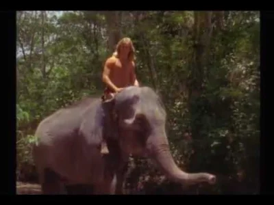 CulturalEnrichmentIsNotNice - Przygody Tarzana (1991-1994) 
#seriale #tarzan #90s #n...