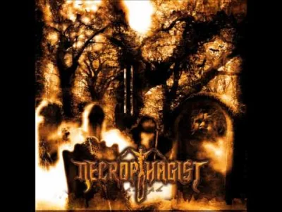odglosy_bebnow - #technicaldeathmetal #muzyka #necrophagist
#metal