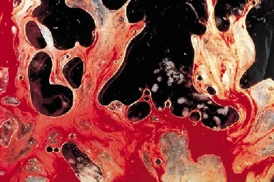 KBR_ - Mireczki obraz Krew i Sperma III Andreasa Serrano, powstał poprzez spuszczenie...