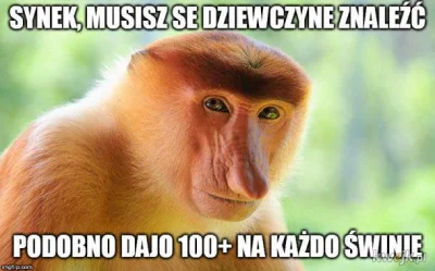 Pan_niepoprawny - kek XDDDDD

#heheszki #humorobrazkowy #nosacz #jarkacz