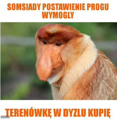 P.....k - Dlatego zakup wysoko zawieszonego SUVa bądź terenówki ma sens, można jeździ...