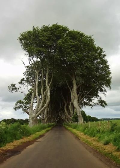 sandra925 - #earthporn #natura #irlandia