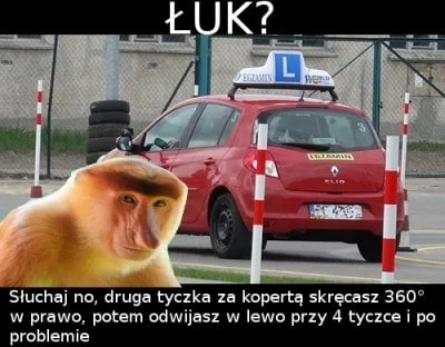 AsuriTeyze - #polak #prawojazdy #heheszki #humorobrazkowy