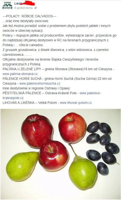 blabusna666 - Oto co napisał mi znajomy Czech, na polską akcję #jedzjablka