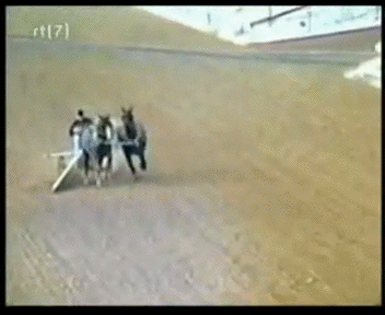 a.....2 - #gif #heheszki