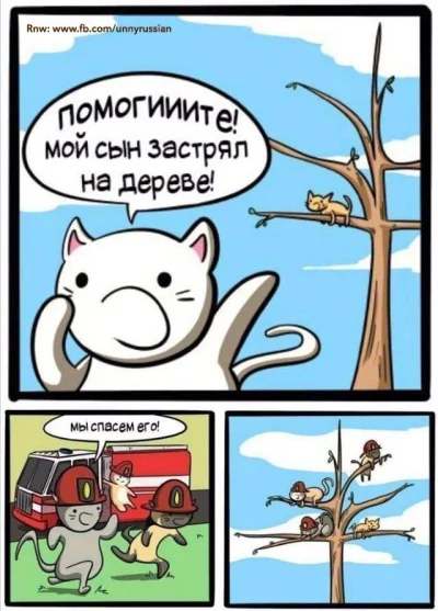 Maaska - :D

#heheszki #humorobrazkowy #koty #smiesznekotki #rosyjski