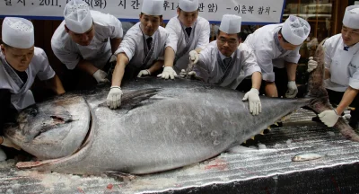 ThinkHealthy - Lubicie tuńczyka? A ktoś z Was słyszał, że nie powinno się go jeść zby...