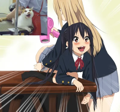 Pewpewpew - #randomanimeshit #keion #azusanakano #tsumugikotobuki #neko #nowyrokzrand...