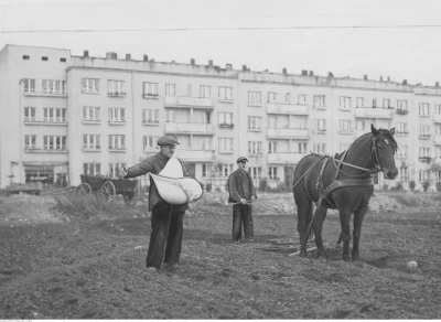 Czajna_Seczen - Wykopiecie? :)

Znalezisko -> Gdynia – miasto niedokończone - Budow...