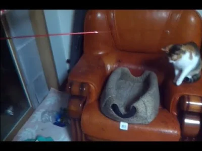 hartem - #kotek #kotalke #youtube #niewiemczybylo

Z serii ruskie zwierzaczki.