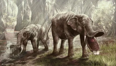 piotrass007 - PLATYBELODON - wymarły trąbowiec żyjący w miocenie w Azji. Bliski krewn...