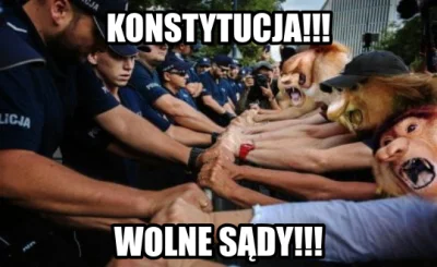 looonger - #heheszki #polityka #bekazkod #bekazlewactwa #wolnesady #bekazpo #bekazpod...