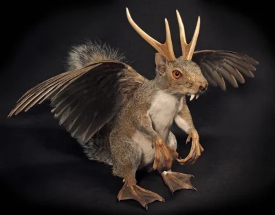 xan_physic - @Lunder: Wolpertinger