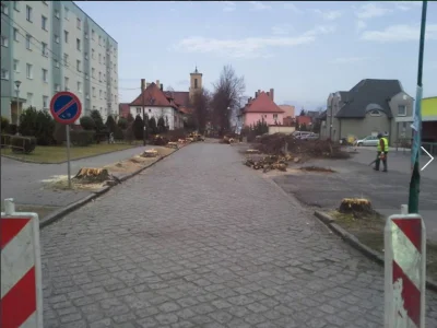 BaronAlvon_PuciPusia - O, jebłem. 
 A w Zbąszynku kolejna udana modernizacja drogi......