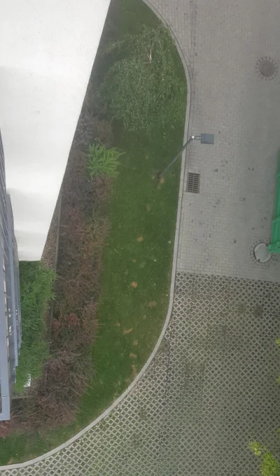 Fueryon - @apoll: szczyny też wycierasz? Zobacz jak wygląda trawnik niby sprzątany z ...
