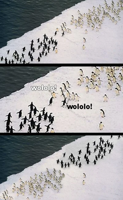 natallliii - Age of Penguin ( ͡° ͜ʖ ͡°)
#aoe #wololo