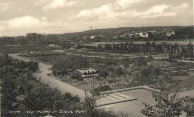 P.....g - Dla mnie perełka. Ogród różany i w tle wieża Quistorpa. #ciekawostka przy t...