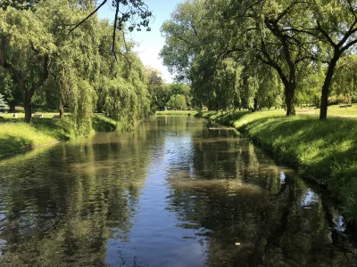 Zaangazowany - Moje :)