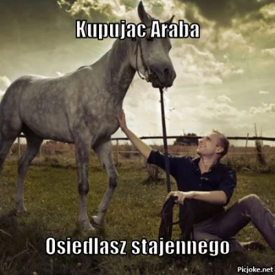 u.....n - #memy #arab #konie #mojpierwszymem #glupiealemoje #heheszki